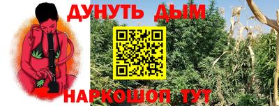 МДПВ Ливны