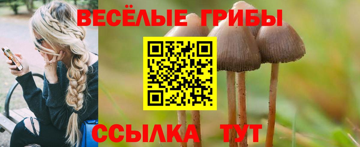 Псилоцибиновые грибы Magic Shrooms Железноводск